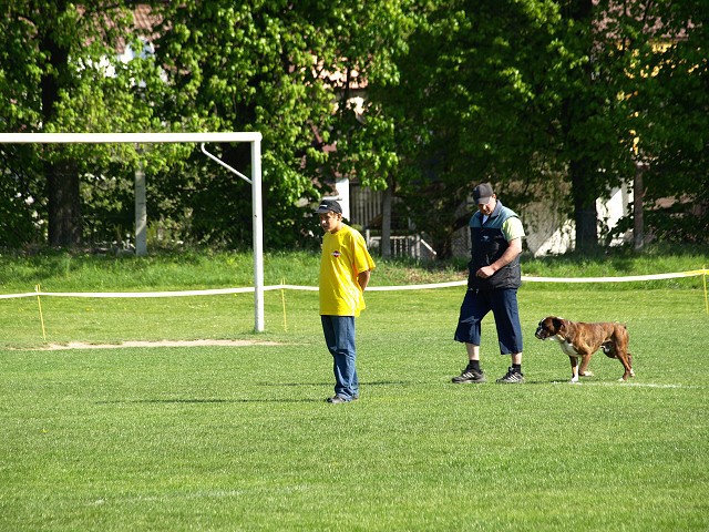 www.atibox.net * www.euroboxer.eu * www.boxergenealogia.eu